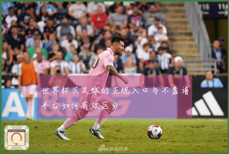 世界杯买足球的正规入口与不靠谱平台如何有效区分