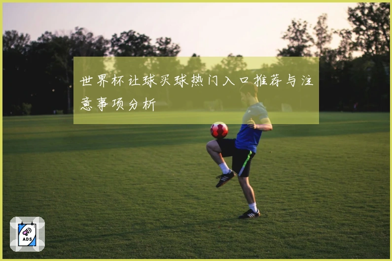 世界杯让球买球热门入口推荐与注意事项分析