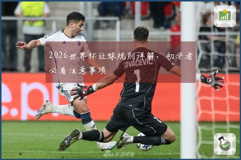2026世界杯让球规则详解，初学者必看注意事项