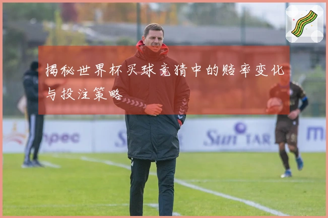 揭秘世界杯买球竞猜中的赔率变化与投注策略
