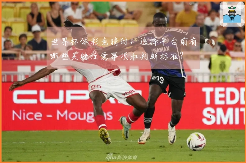 世界杯体彩竞猜时，选择平台前有哪些关键注意事项和判断标准？