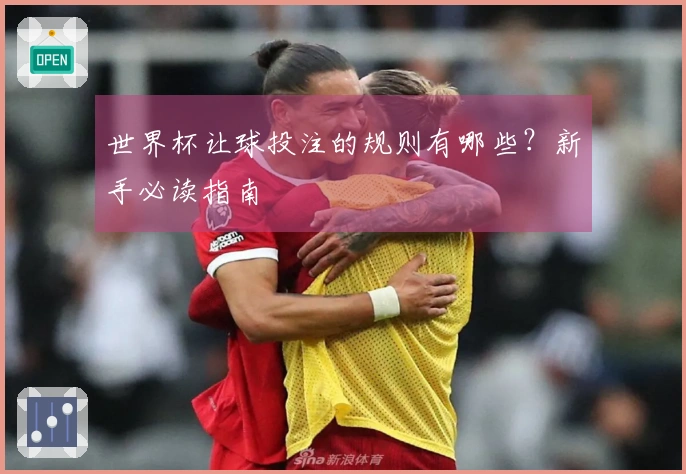 世界杯让球投注的规则有哪些？新手必读指南