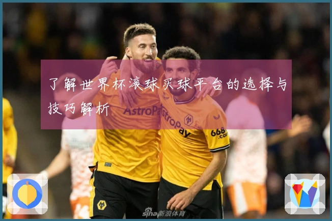 了解世界杯滚球买球平台的选择与技巧解析