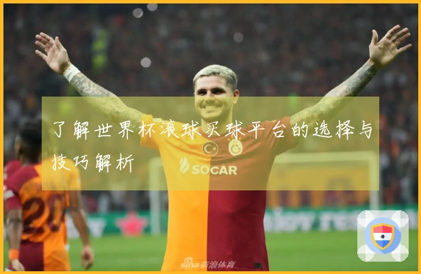 了解世界杯滚球买球平台的选择与技巧解析