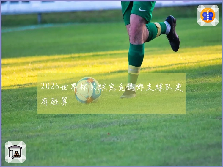 2026世界杯买球究竟选哪支球队更有胜算