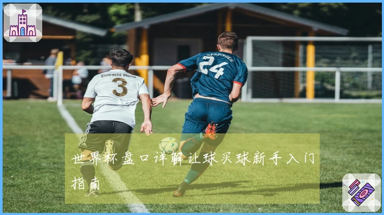 世界杯盘口详解让球买球新手入门指南