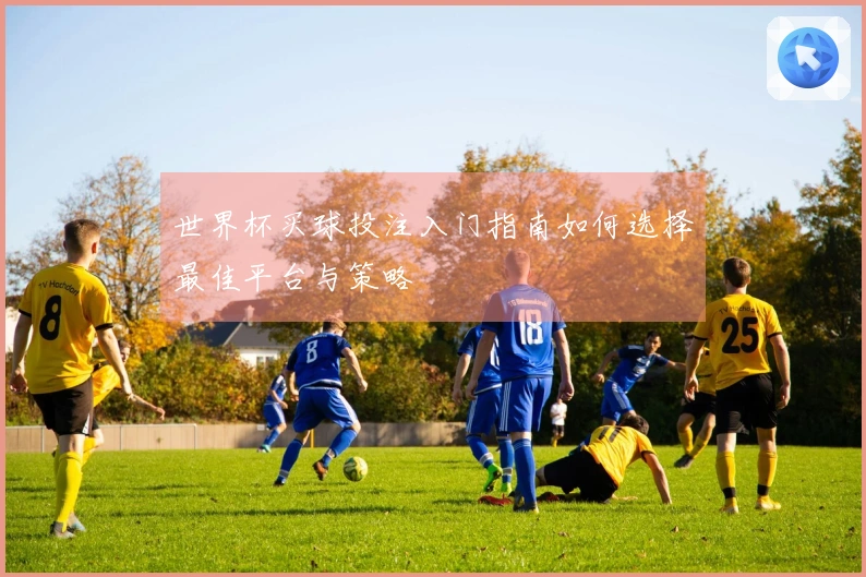世界杯买球投注入门指南如何选择最佳平台与策略