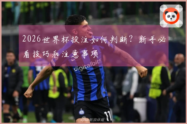 2026世界杯投注如何判断？新手必看技巧和注意事项