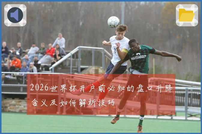 2026世界杯开户前必知的盘口升降含义及如何解析技巧