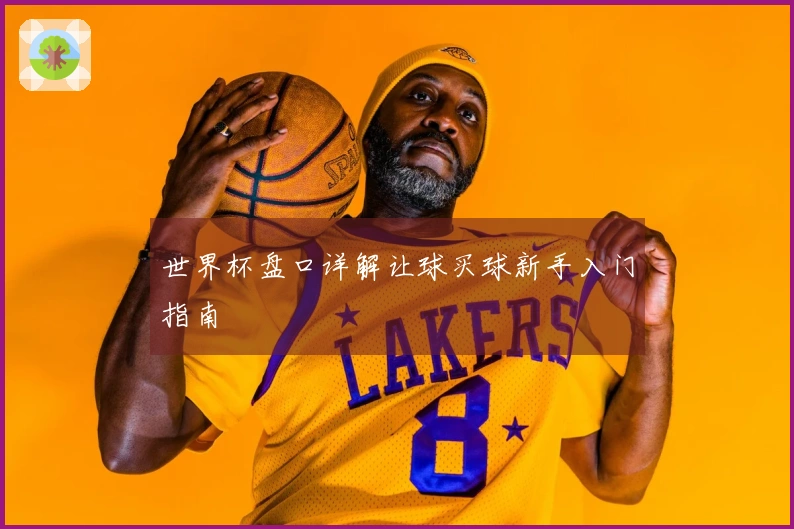 世界杯盘口详解让球买球新手入门指南