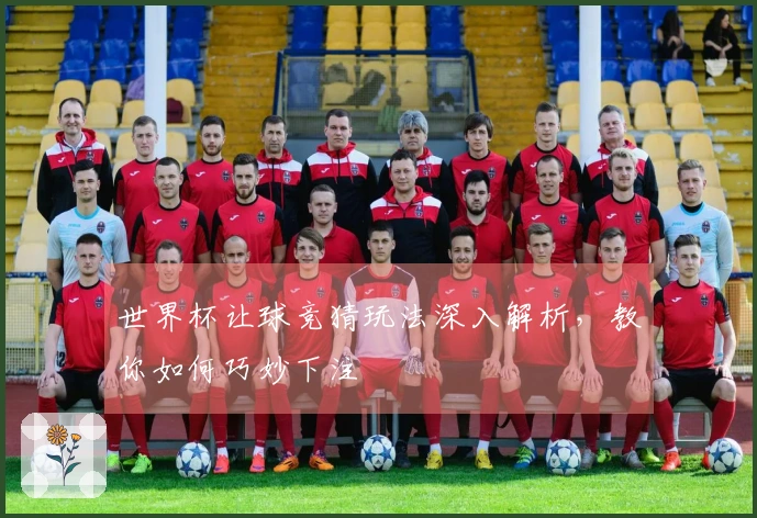 世界杯让球竞猜玩法深入解析，教你如何巧妙下注