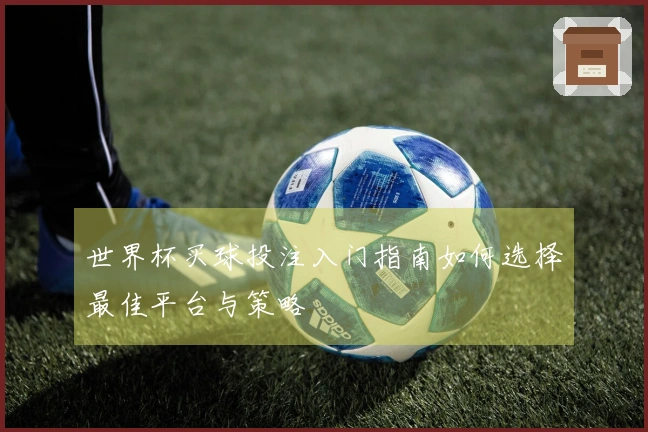 世界杯买球投注入门指南如何选择最佳平台与策略