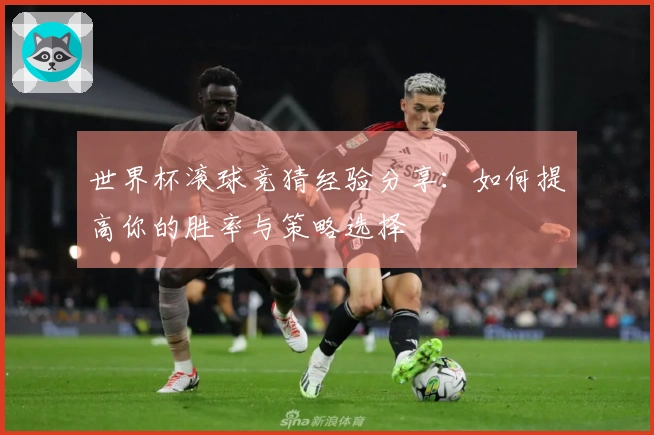 世界杯滚球竞猜经验分享：如何提高你的胜率与策略选择